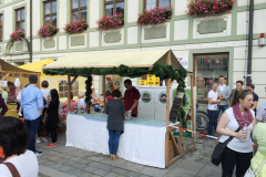 Altstadtfest 2016