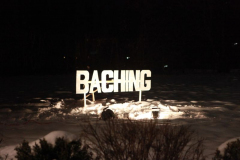 Faschingsball 2013 USA