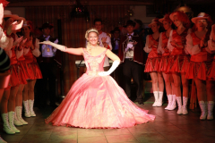 Faschingsball 2015