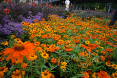 Landesgartenschau RO