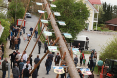 Maibaum 2016
